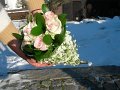 dscn1271