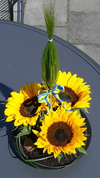 p1000164.jpg