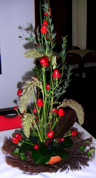 paprika_blomma.jpg