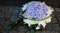 blommor_009