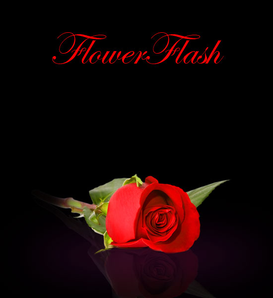 Flowerflash welcome